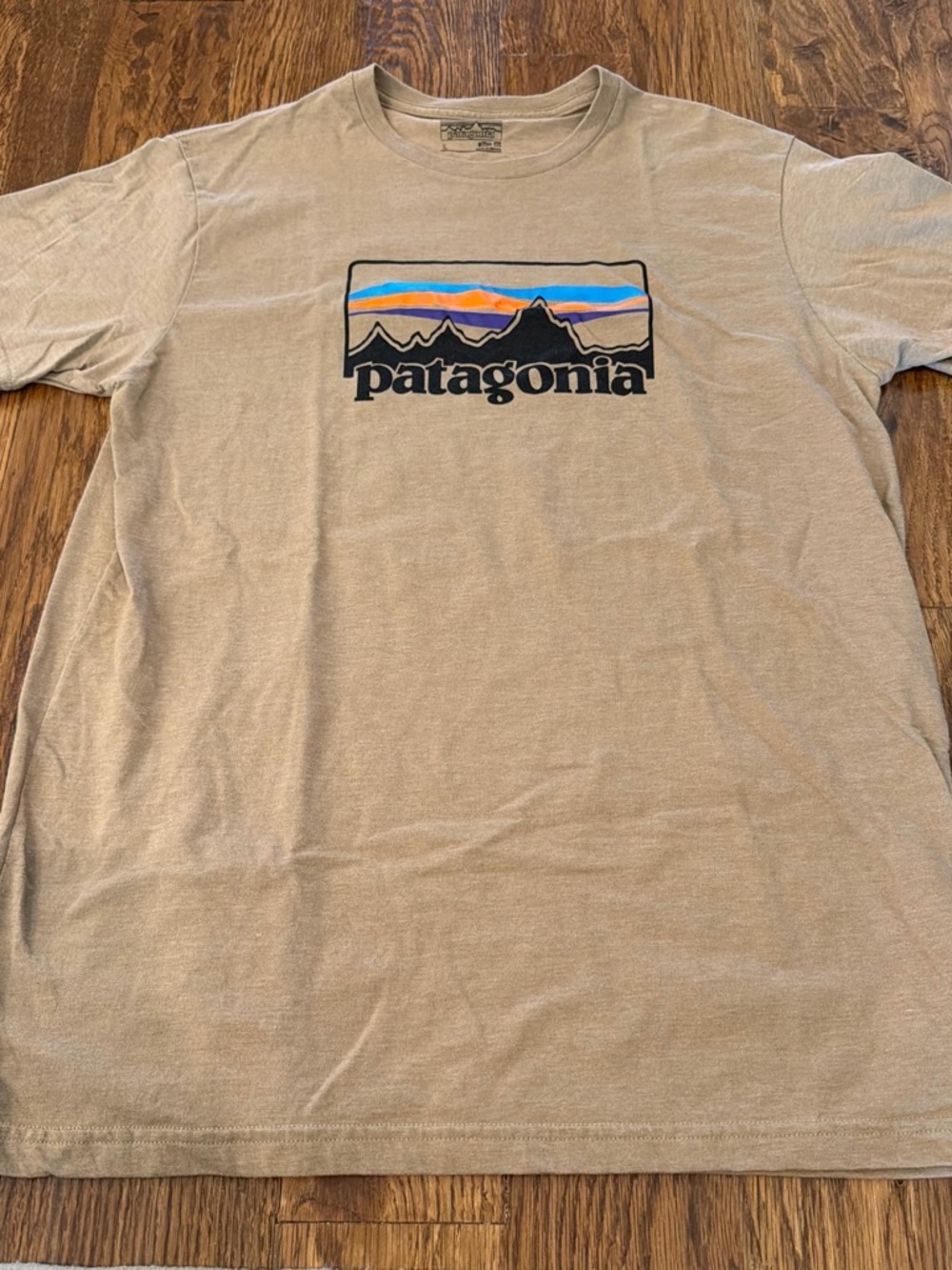 Patagonia Tan Short-Sleeve Logo Tee with Blue & Orange Accent